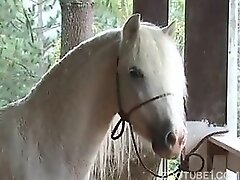 {https://zootube1.com/pics/videos_sources/4000/4351/screenshots/1.jpg|https://zootube1.com/pics/videos_sources/4000/4351/screenshots/2.jpg|https://zoo