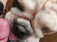 {https://zootube1.com/pics/videos_sources/16000/16962/screenshots/1.jpg|https://zootube1.com/pics/videos_sources/16000/16962/screenshots/2.jpg|https:/
