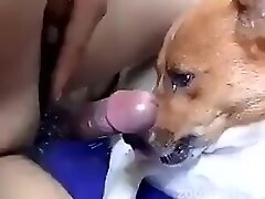 {https://zootube1.com/pics/videos_sources/3000/3361/screenshots/1.jpg|https://zootube1.com/pics/videos_sources/3000/3361/screenshots/2.jpg|https://zoo