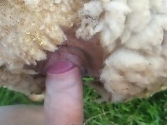 {https://zootube1.com/pics/videos_sources/16000/16666/screenshots/1.jpg|https://zootube1.com/pics/videos_sources/16000/16666/screenshots/2.jpg|https:/