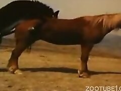 {https://zootube1.com/pics/videos_sources/3000/3449/screenshots/1.jpg|https://zootube1.com/pics/videos_sources/3000/3449/screenshots/2.jpg|https://zoo