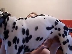 {https://zootube1.com/pics/videos_sources/3000/3653/screenshots/1.jpg|https://zootube1.com/pics/videos_sources/3000/3653/screenshots/2.jpg|https://zoo