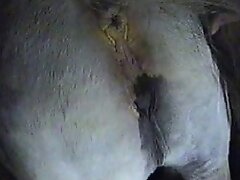{https://zootube1.com/pics/videos_sources/3000/3197/screenshots/1.jpg|https://zootube1.com/pics/videos_sources/3000/3197/screenshots/2.jpg}