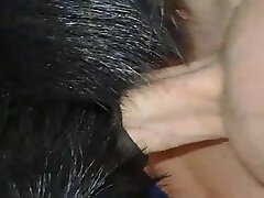 {https://zootube1.com/pics/videos_sources/16000/16537/screenshots/1.jpg|https://zootube1.com/pics/videos_sources/16000/16537/screenshots/2.jpg|https:/