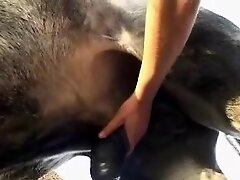 {https://zootube1.com/pics/videos_sources/3000/3389/screenshots/1.jpg|https://zootube1.com/pics/videos_sources/3000/3389/screenshots/2.jpg|https://zoo