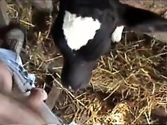 {https://zootube1.com/pics/videos_sources/3000/3039/screenshots/1.jpg|https://zootube1.com/pics/videos_sources/3000/3039/screenshots/2.jpg|https://zoo