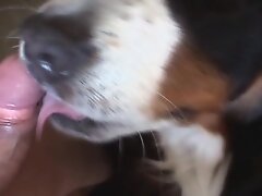 {https://zootube1.com/pics/videos_sources/3000/3623/screenshots/1.jpg|https://zootube1.com/pics/videos_sources/3000/3623/screenshots/2.jpg|https://zoo